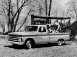 Chevrolet C10 Fleetside Pickup 1965 года